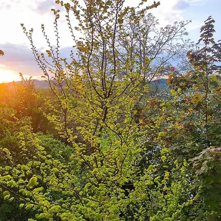 Mit Garten In * Weissenbrunn