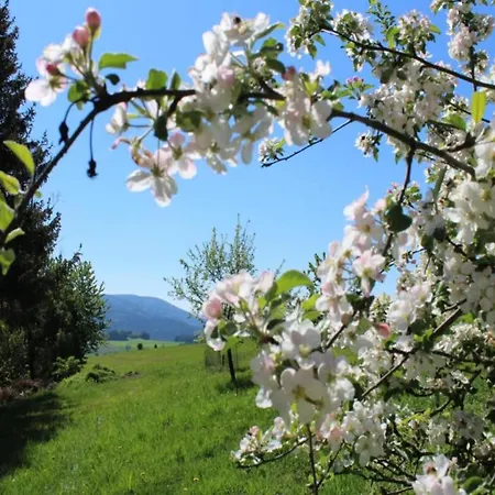 Lägenhet Mit Garten In Weissenbrunn